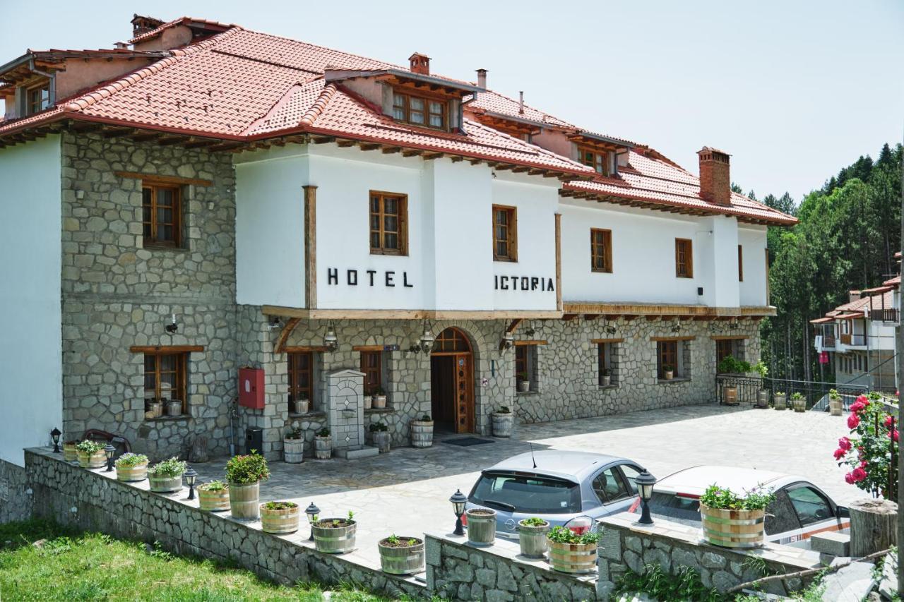 Hotel Victoria Metsovo Zewnętrze zdjęcie