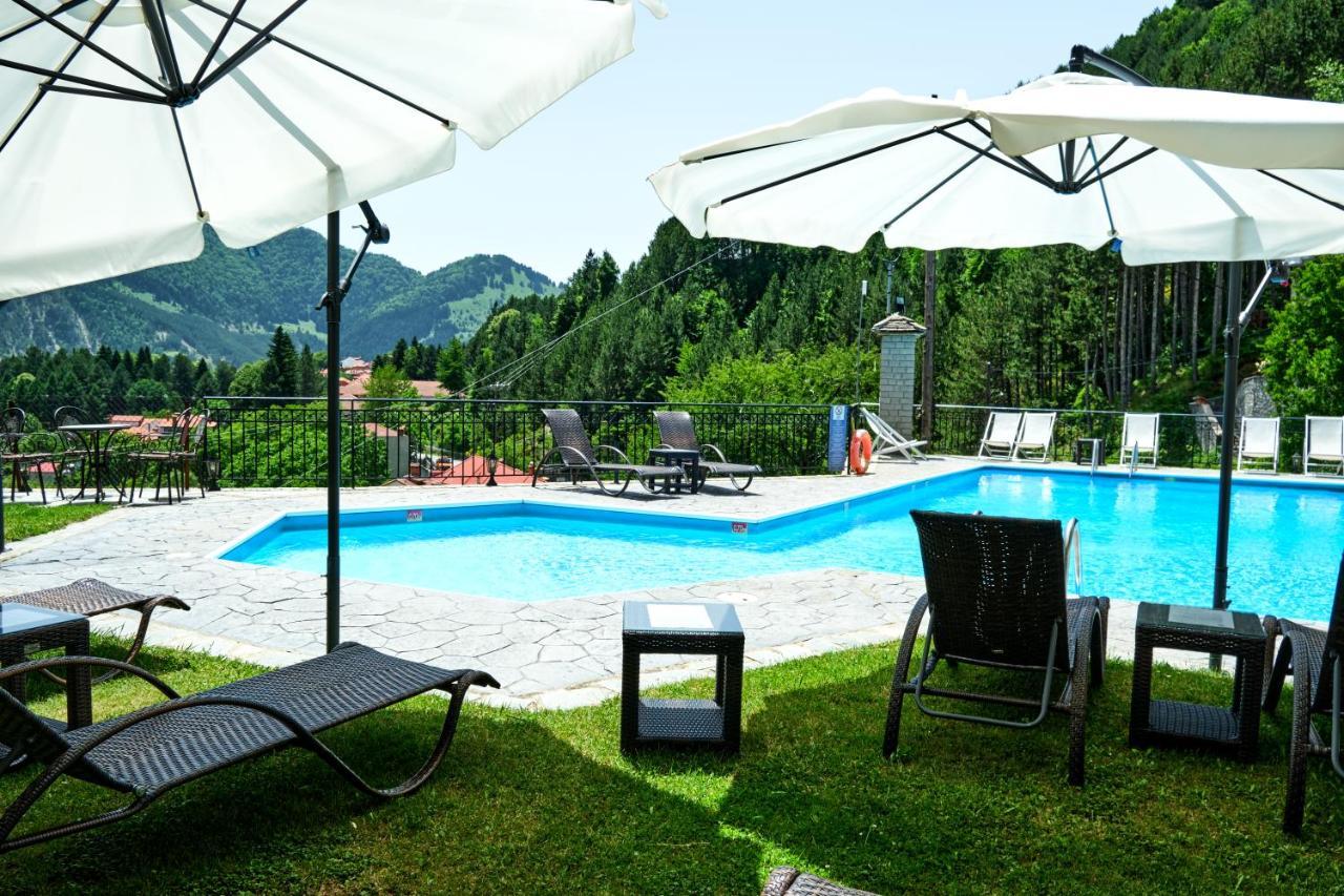 Hotel Victoria Metsovo Zewnętrze zdjęcie