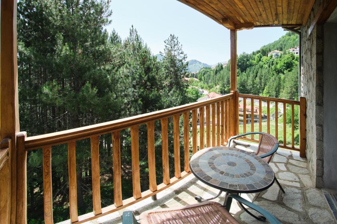 Hotel Victoria Metsovo Zewnętrze zdjęcie